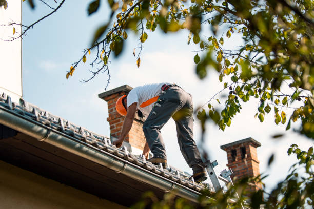 Best New Roof Installation  in Neodesha, KS