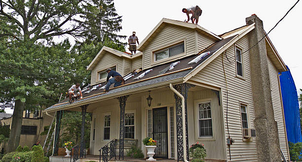 Best New Roof Installation  in Neodesha, KS