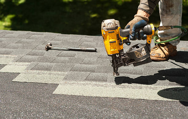 Best Roof Gutter Cleaning  in Neodesha, KS